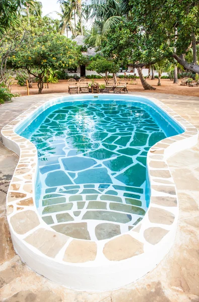 Piscine dans Jardin Africain — Photo