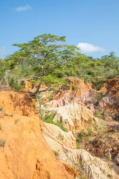 Marafa canyon - Kenia — Zdjęcie stockowe