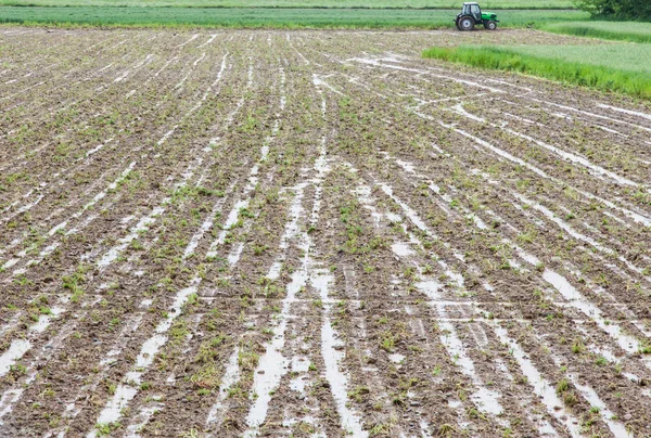 Desastre agrícola — Foto de Stock