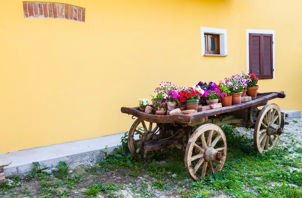 Тосканские цветы — стоковое фото