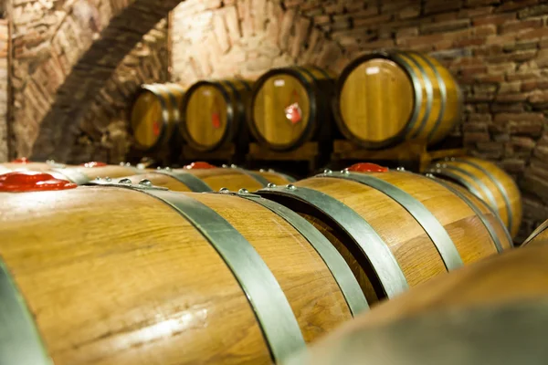 Old Cellar — Stock Photo, Image