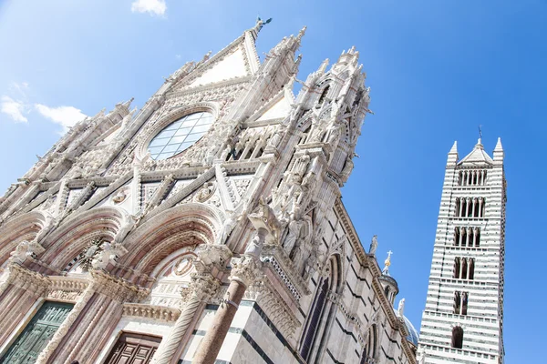 Katedra Duomo di siena — Zdjęcie stockowe