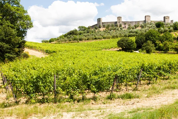 Vignoble en Toscane — Photo