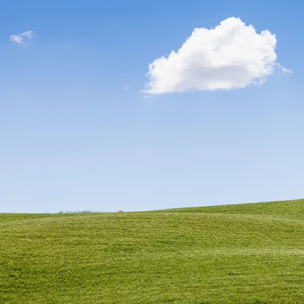 Campo verde en Toscana — Foto de Stock