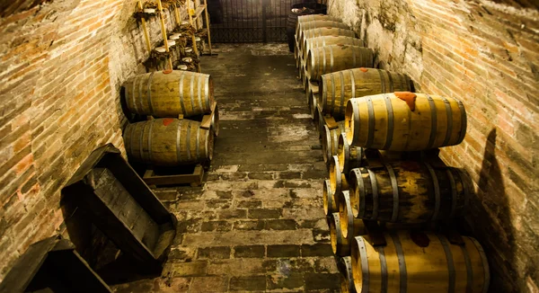 Old Cellar — Stock Photo, Image