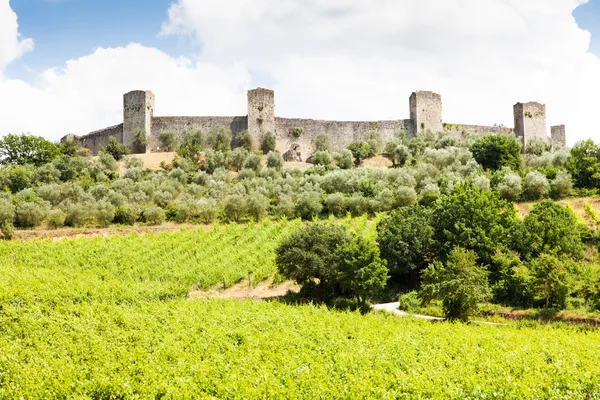 Vingård i Toscana — Stockfoto