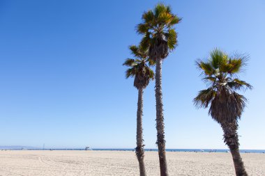 Santa Monica Beach