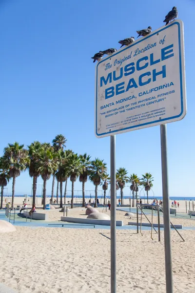 Muscle Beach — Stock Photo, Image