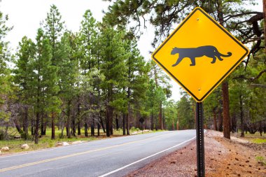 Grand canyon yolu