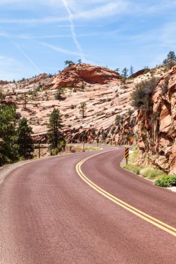 zion yolda