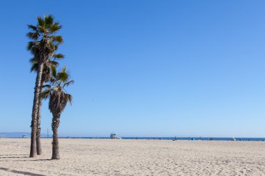Santa Monica Beach