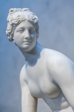 Venüs