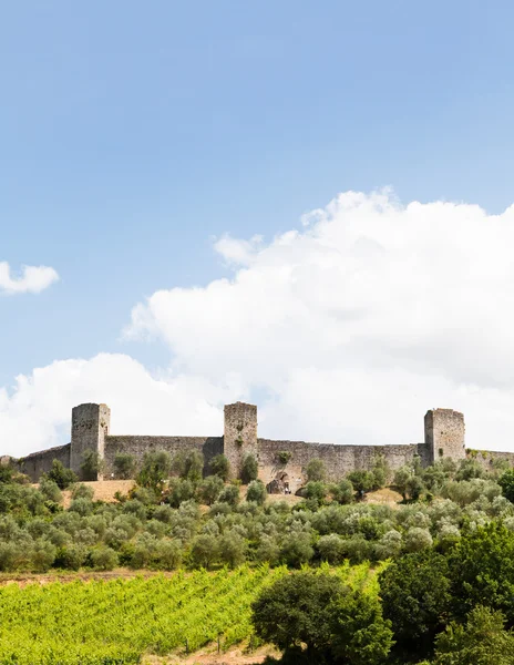 Wineyard in Tuscany — Stock Photo, Image