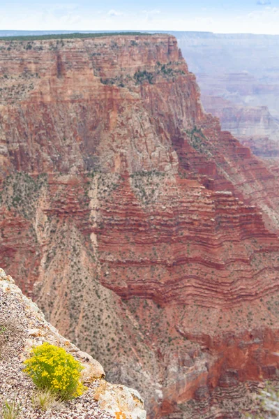 Gran cañón — Foto de Stock