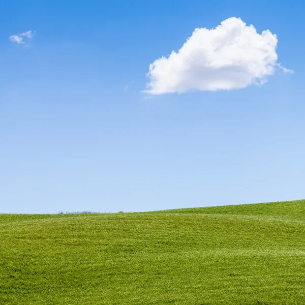 Campo verde en Toscana — Foto de Stock