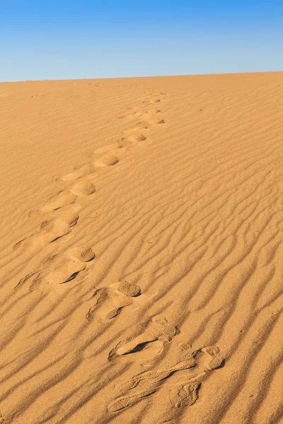 Deserto do vale da morte — Fotografia de Stock