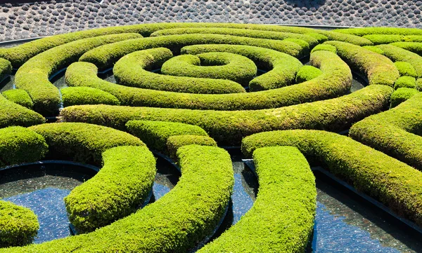 Trädgården labyrint — Stockfoto
