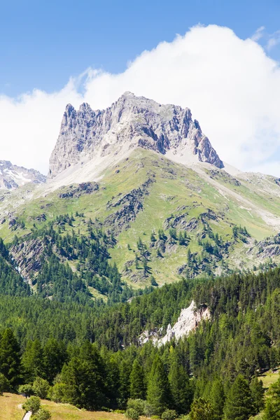 Італійські Альпи — стокове фото