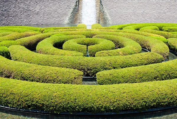 Trädgården labyrint — Stockfoto