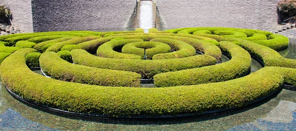 花园迷宫 — 图库照片
