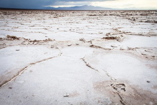 Salt Desert — Stock Photo, Image