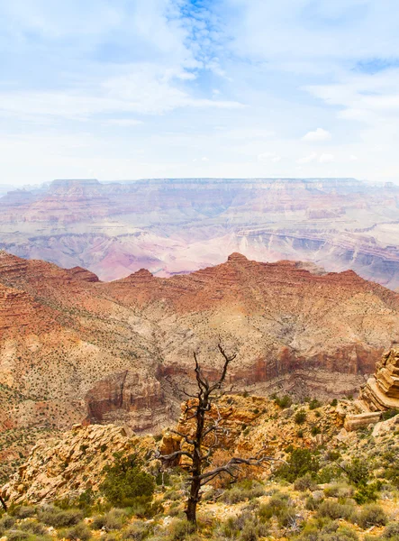 Grand Canyon — Stock fotografie