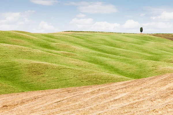 Tuscany agriculture — Stock Photo, Image