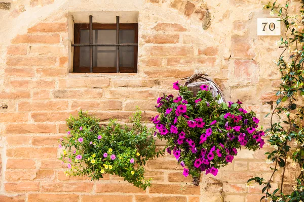Toscaanse bloemen — Stockfoto