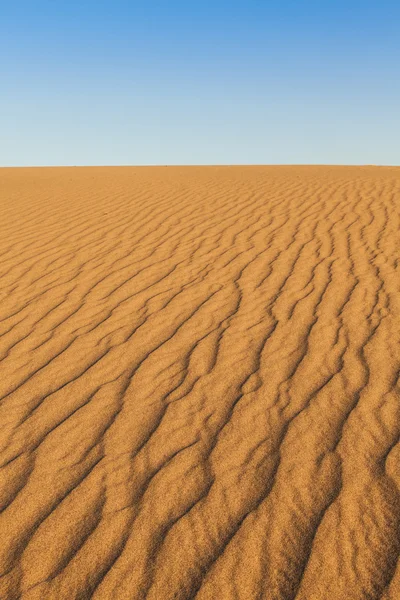 Volf-sivatag — Stock Fotó
