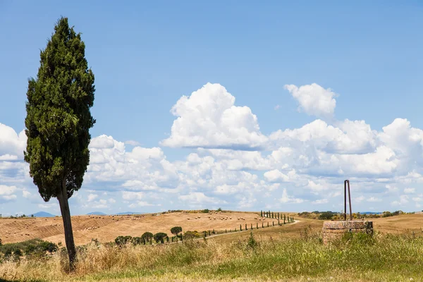 Tuscan country — Stock Photo, Image