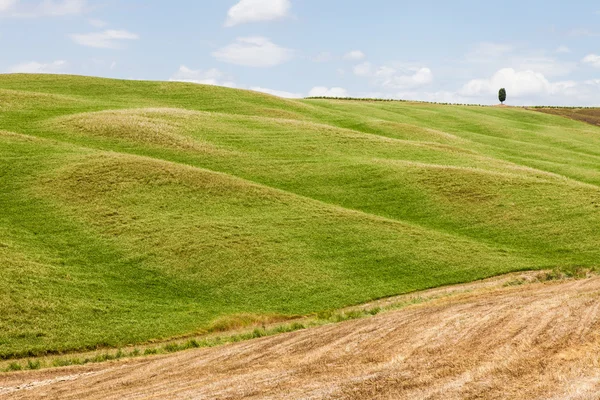 Agricultura da Toscana — Fotografia de Stock