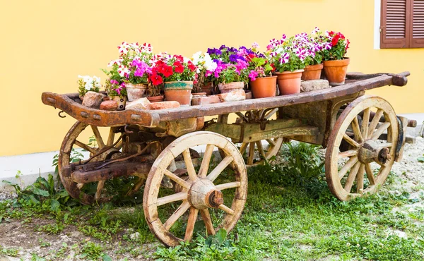 Тосканские цветы — стоковое фото