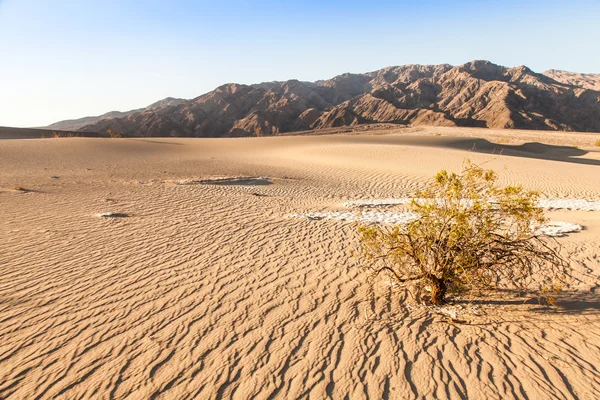 Wüste im Death Valley — Stockfoto