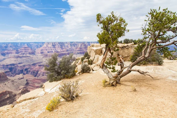 Gran cañón — Foto de Stock