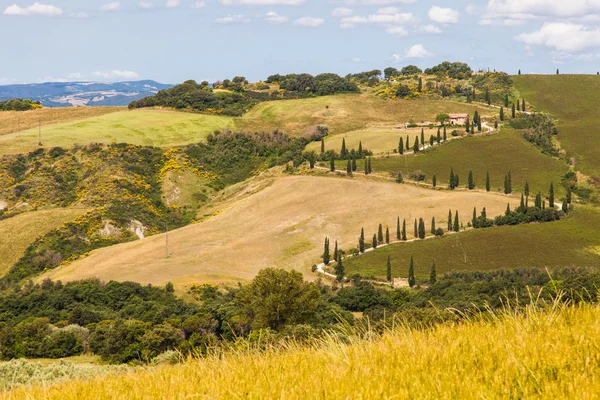 Toskana, İtalya. tuscan ülkenin ünlü la foce sokak, Simgesel Yapı. — Stok fotoğraf