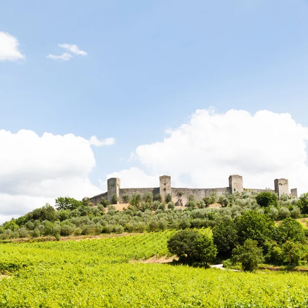 Wineyard in Tuscany — Stock Photo, Image