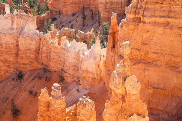 Bryce Canyon — Stock Photo, Image