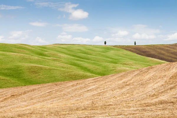 Agricultura en Toscana — Foto de Stock