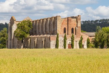San Galgano Manastırı