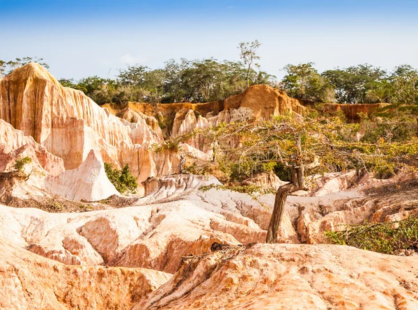 Marafa Kanyonu - kenya — Stok fotoğraf