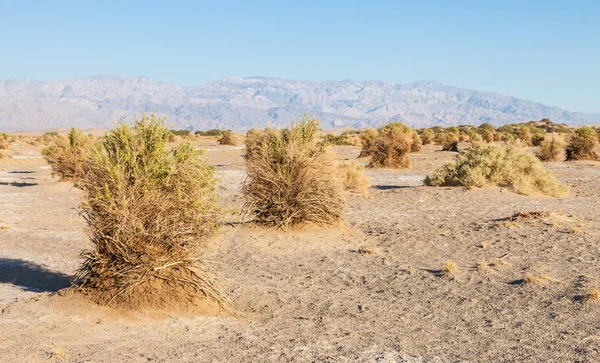 Deserto do vale da morte — Fotografia de Stock