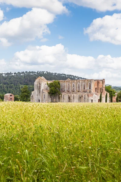 Abtei San Galgano — Stockfoto