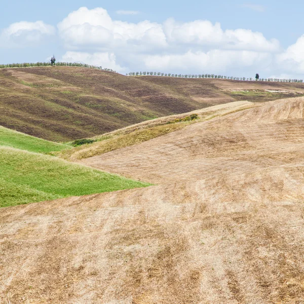 Agricultura en Toscana — Foto de Stock