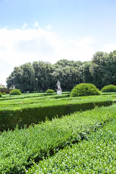 Giardino all'italiana — Foto Stock