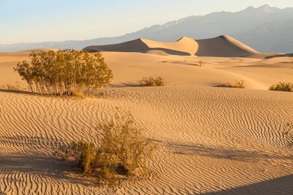Pustyni doliną śmierci — Zdjęcie stockowe