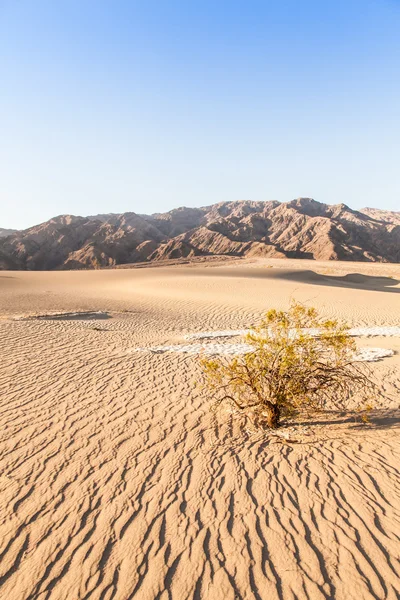 Il deserto della Valle della Morte — Foto Stock