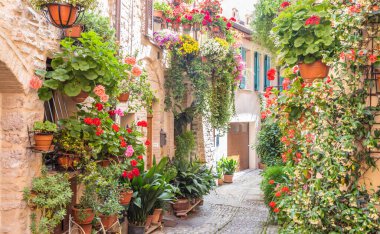 Spello, İtalya - Haziran 2021: Antik caddede çiçekler. Spello İtalya 'nın Umbria bölgesinde yer almaktadır..