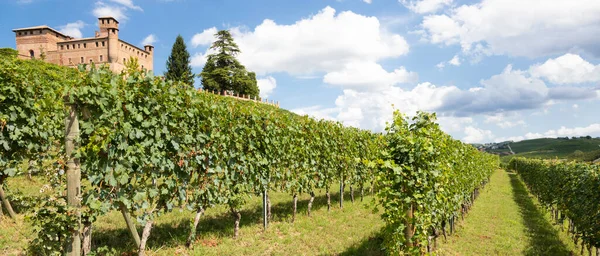 Vineyard Piemonte Region Italien Med Grinzane Cavour Slott Bakgrunden Langhe — Stockfoto
