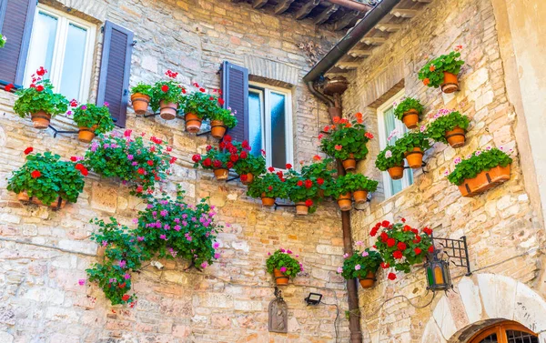 Assisi Falu Umbria Régióban Olaszországban Város Híres Legfontosabb Olasz Szent — Stock Fotó