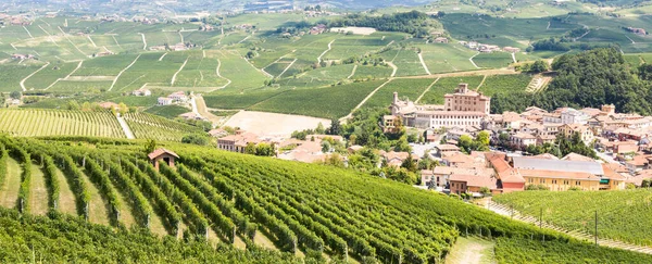 Panoramisch Landschap Piemonte Italië Scenic Wijngaard Heuvel Met Beroemde Barolo — Stockfoto